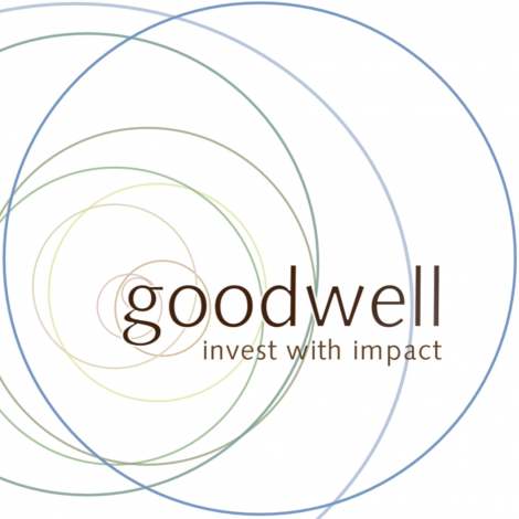 Connecting the Dots evenement van Goodwell Investments BV