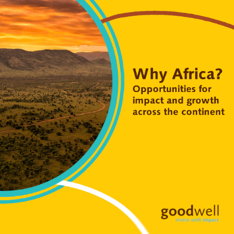 Goodwell investments